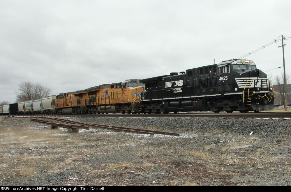 NS 4625 leads 310